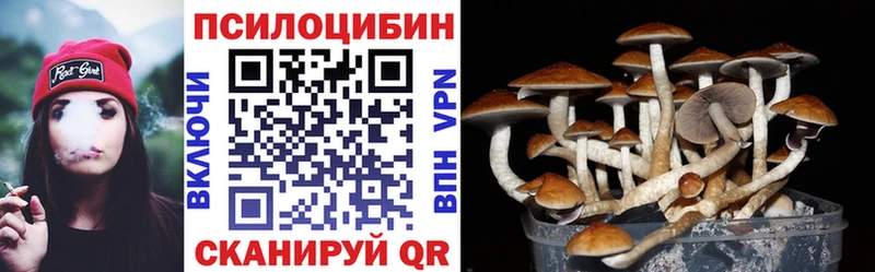 Псилоцибиновые грибы мицелий  Верхняя Тура 